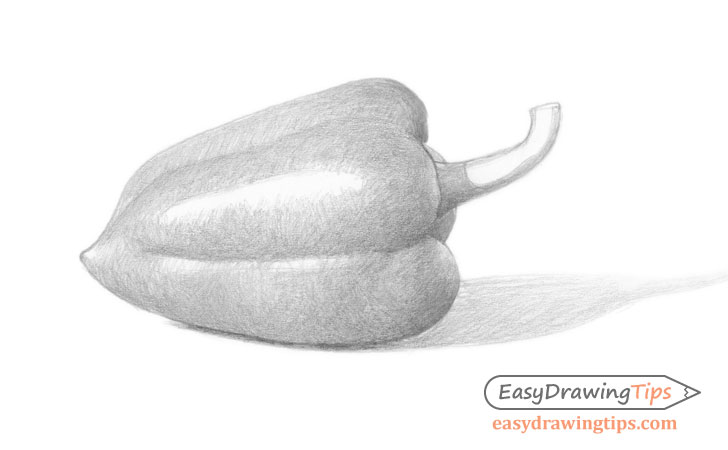 Pepper drawing shading