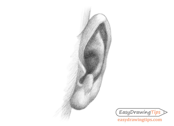 how to draw a human ear