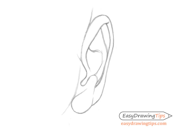 Ear front view line drawing