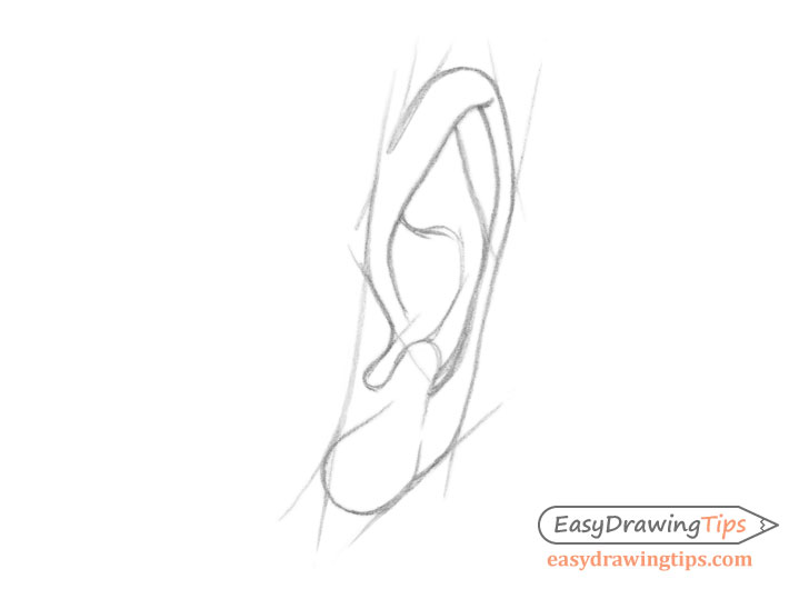 Ear front view line drawing in construction lines