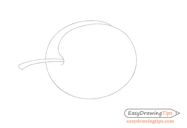 plum line drawing - Hướng dẫn cách Vẽ quả mận đơn giản với 6 bước cơ bản