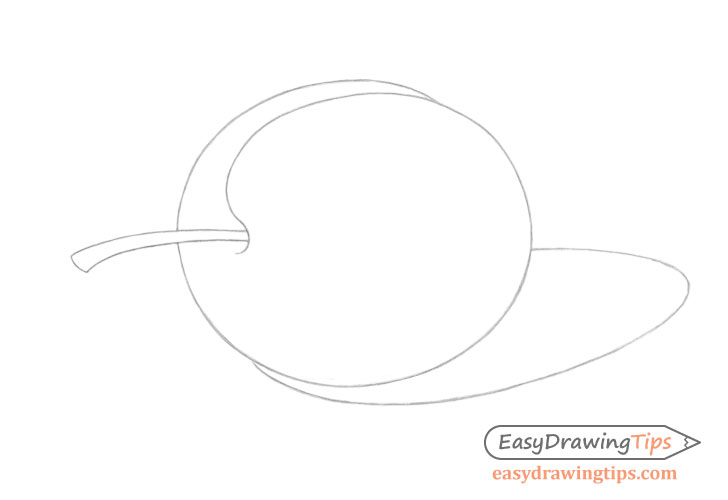 plum shadow outline drawing - Hướng dẫn cách Vẽ quả mận đơn giản với 6 bước cơ bản