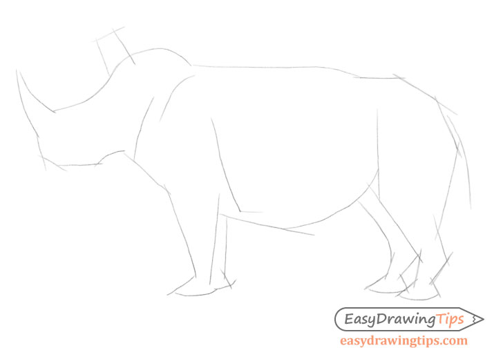 Rhinoceros construction drawing