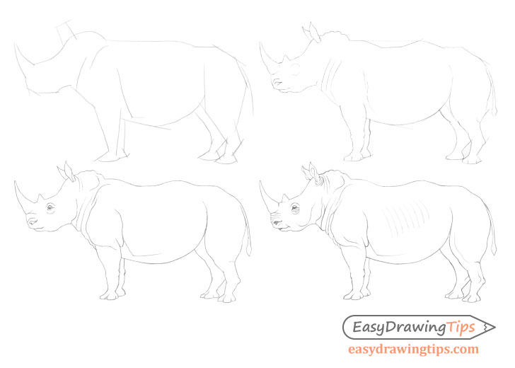 Rhinoceros drawing step by step