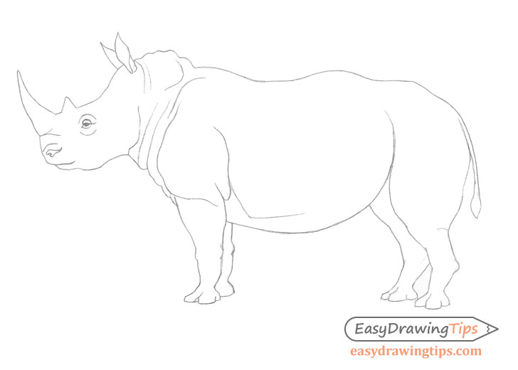 Rhinoceros line drawing