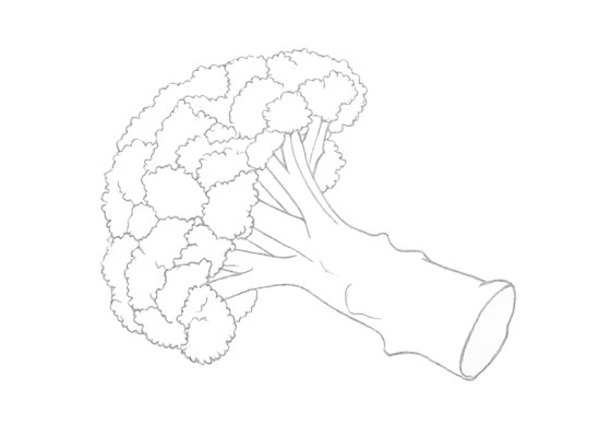 Broccoli drawing tutorial