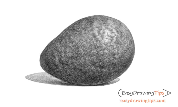 Avocado drawing