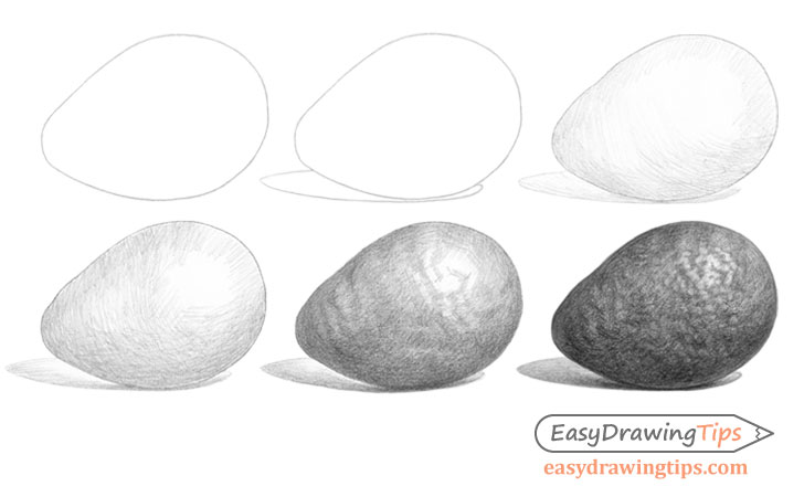 Avocado drawing step by step