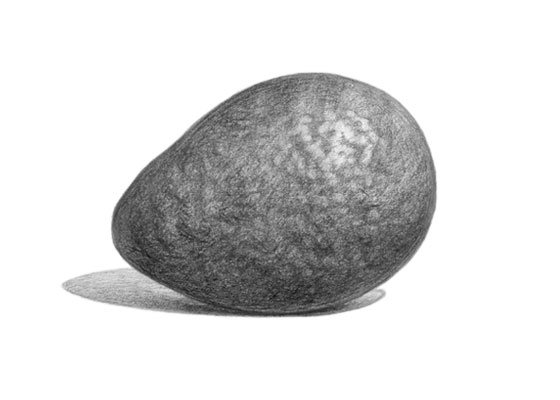 Avocado drawing tutorial