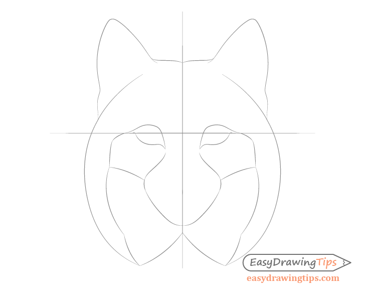 Lynx cheeks drawing