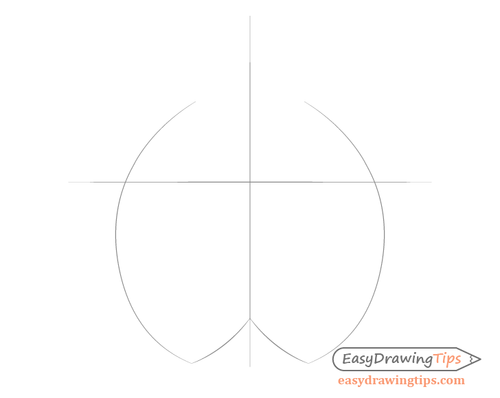 Lynx face shape drawing