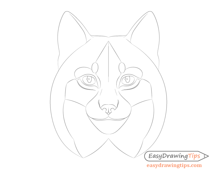 Lynx nose details drawing