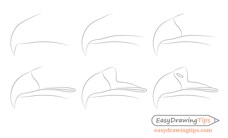 Eagle beak step by step drawing