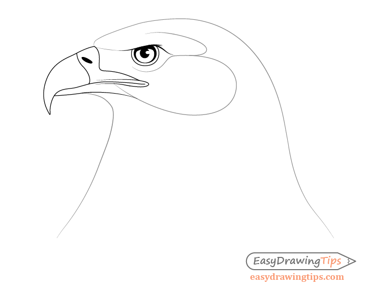 Eagle face outline drawing