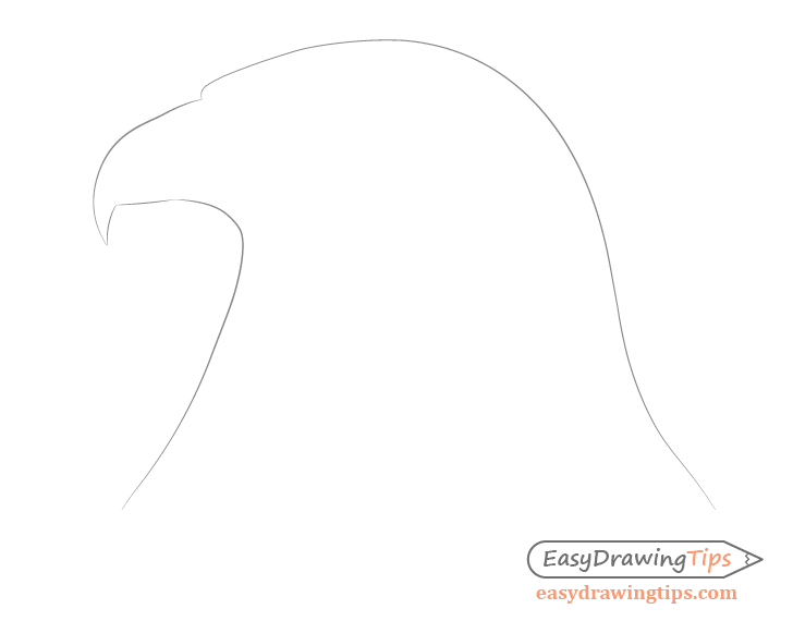 Eagle head outline drawing