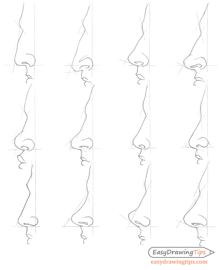 Noses different types outline over construction drawing