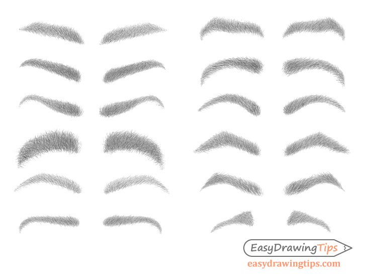 How To Draw Eyebrows That Look Realistic  Paintingcreativity