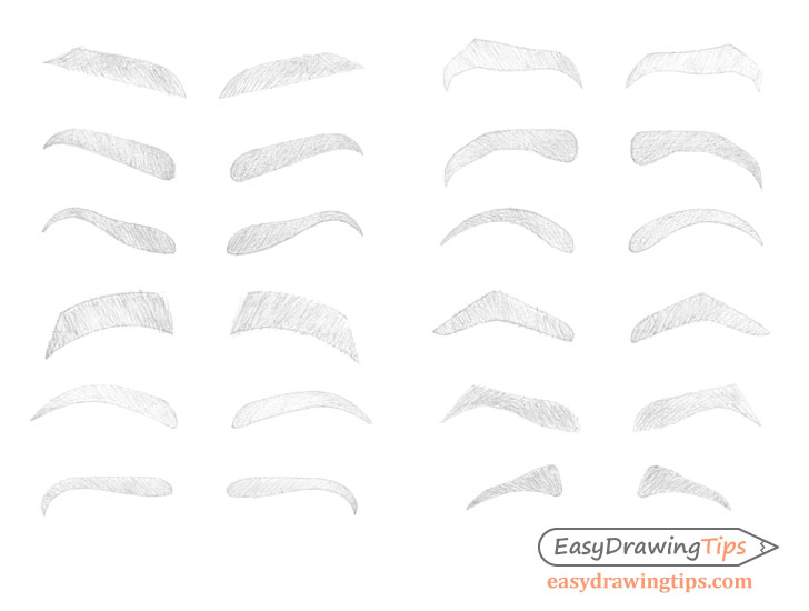 Eyebrow Drawing  How To Draw An Eyebrow Step By Step