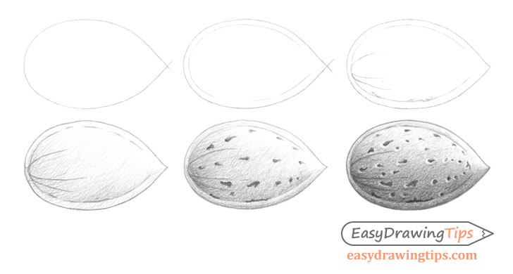 Almond drawing step by step