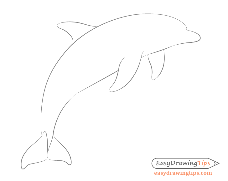 Dolphin back fin drawing