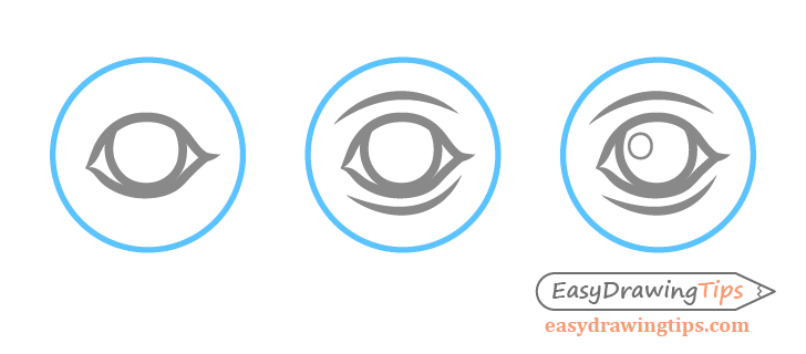 Dolphin eye drawing step by step