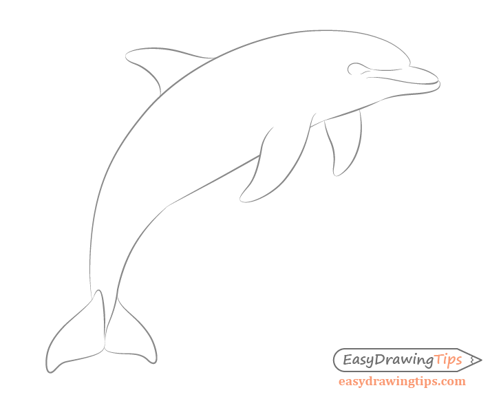 Dolphin face drawing