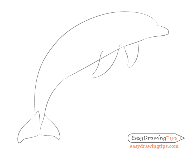 Dolphin flippers drawing