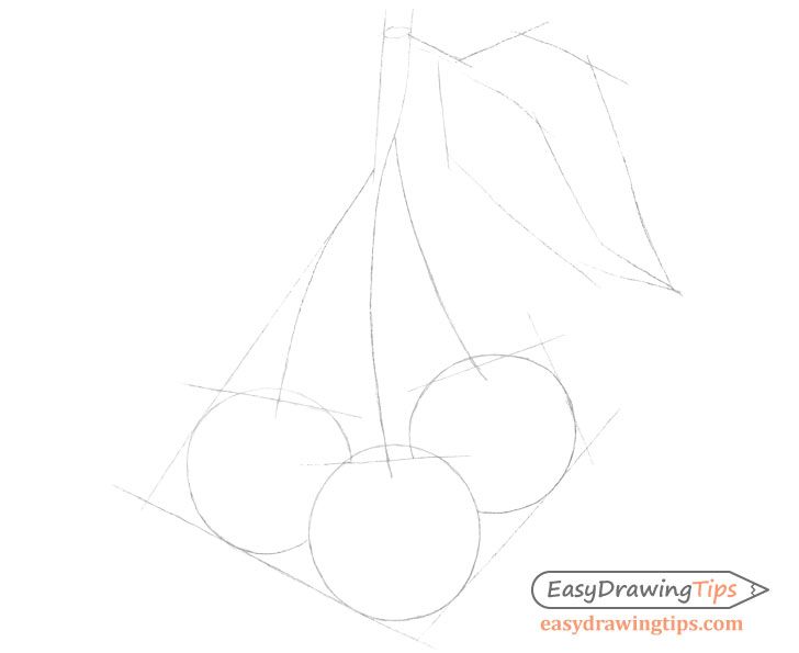 Cherries construction drawing