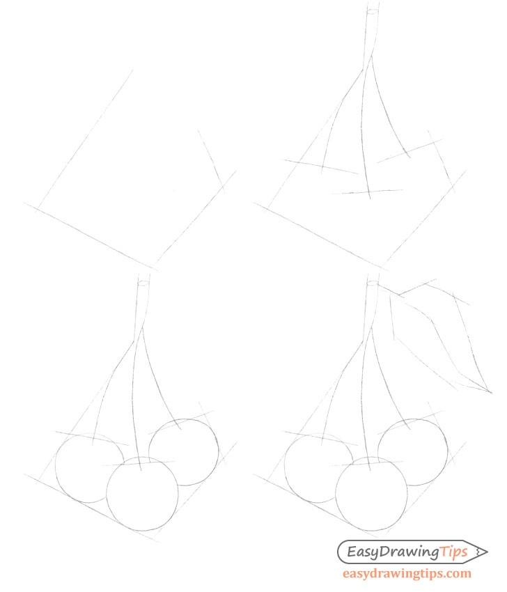 Cherries construction drawing step by step