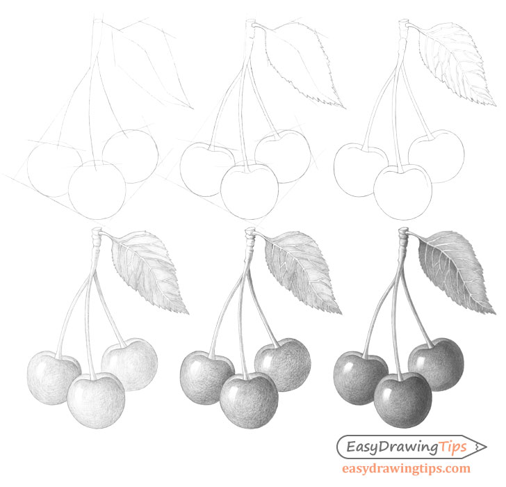 Cherries drawing step by step