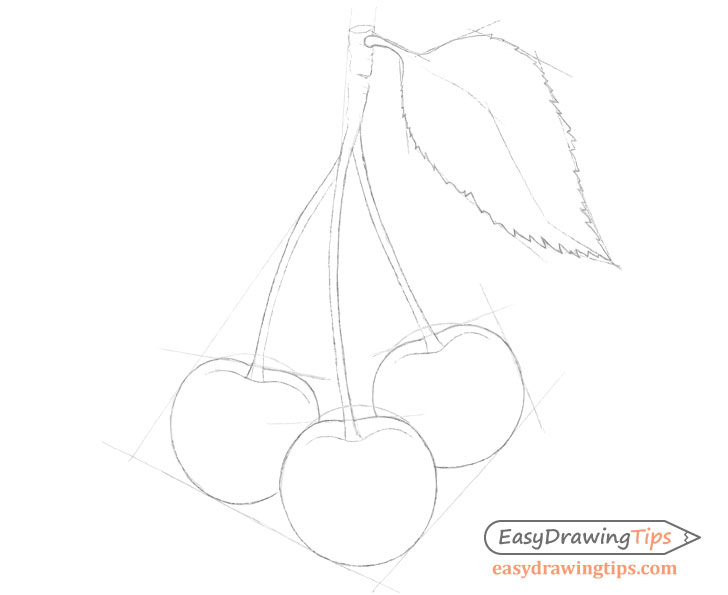 Cherries outline drawing