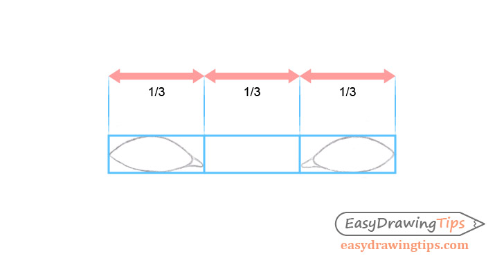 Eye spacing when drawing