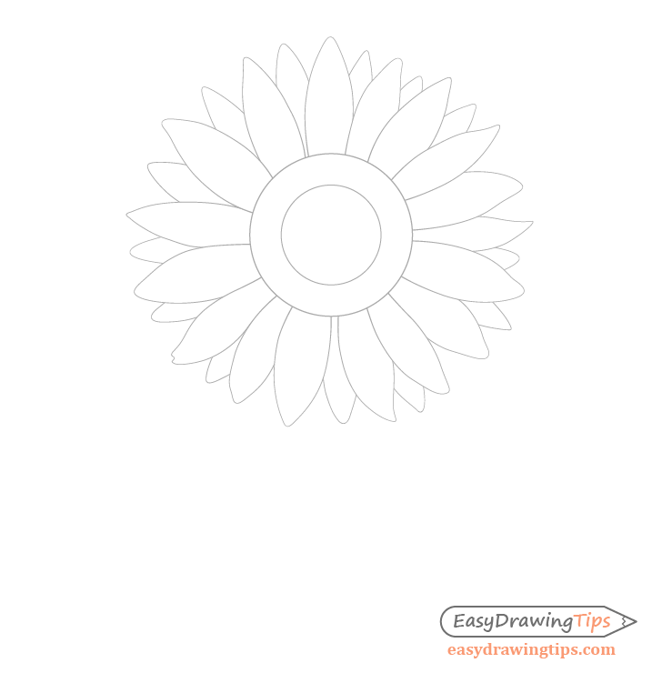 Sunflower background petals drawing