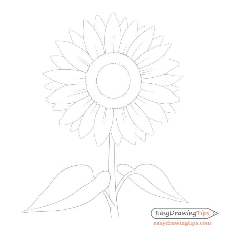 Beautiful flower Sunflower sketch 1  Stock Illustration 97918259  PIXTA