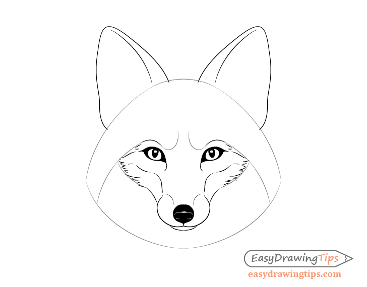 Fox cheek fur drawing