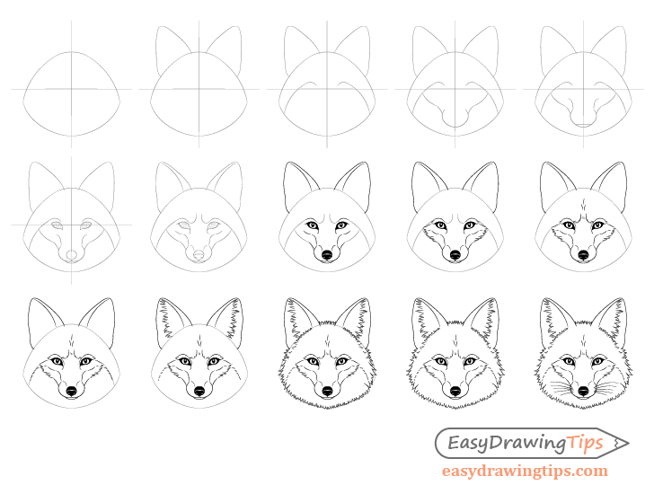 how to draw a fox step by step