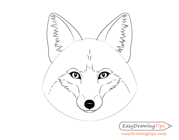 Fox ear fur drawing