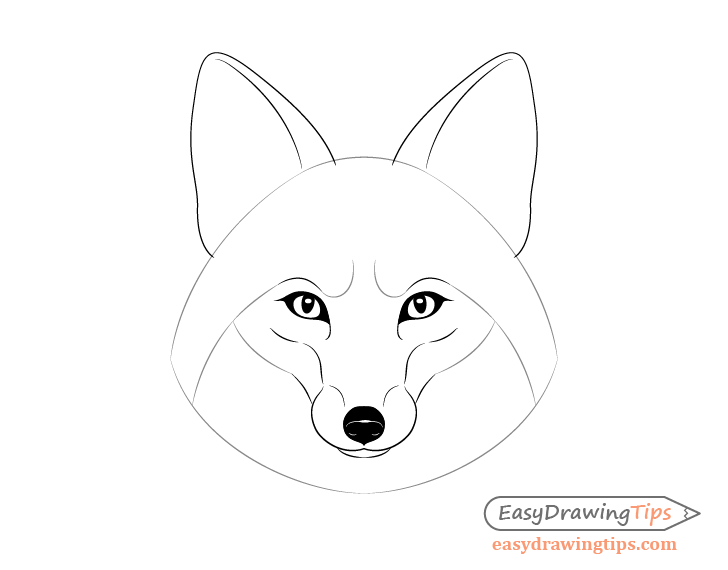 Fox facial features drawing