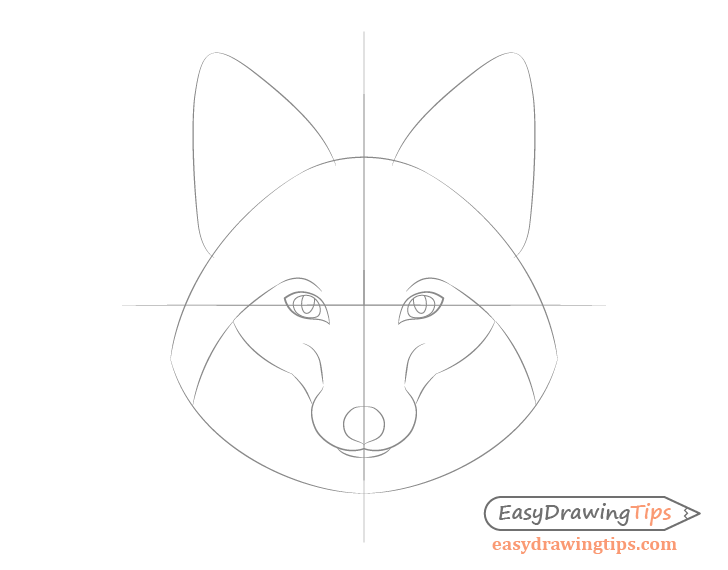 Fox facial features outline drawing