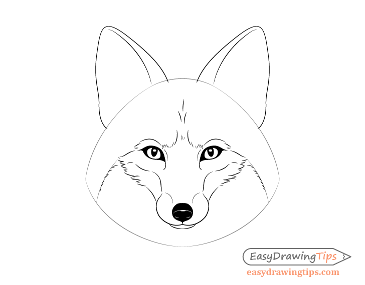 Fox fur pattern drawing