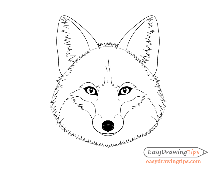 Fox mane drawing