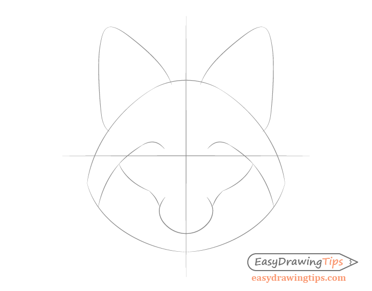 Fox snout drawing