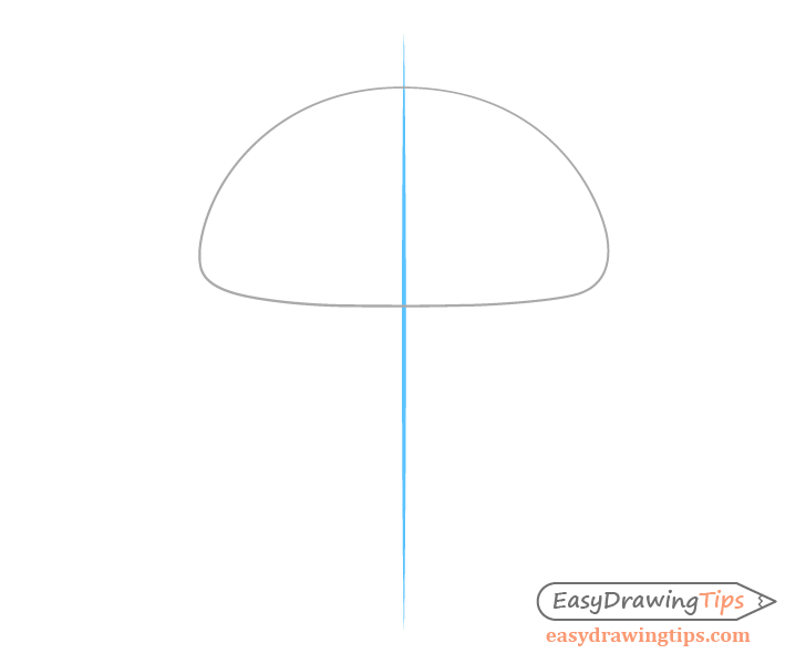 Mushroom cap center line drawing