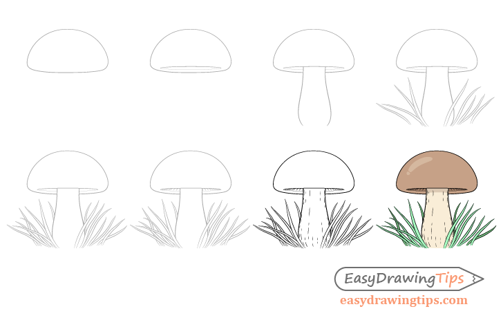 Mushroom drawing step by step
