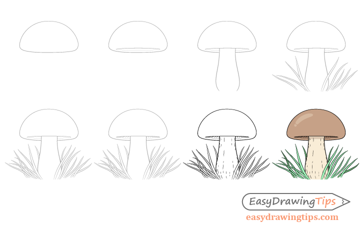 How to Draw a Mushroom  Easy Step by Step Tutorial - Art by Ro