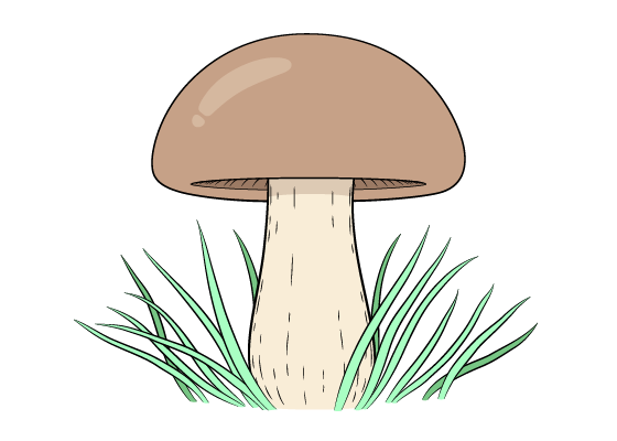 Mushroom drawing tutorial