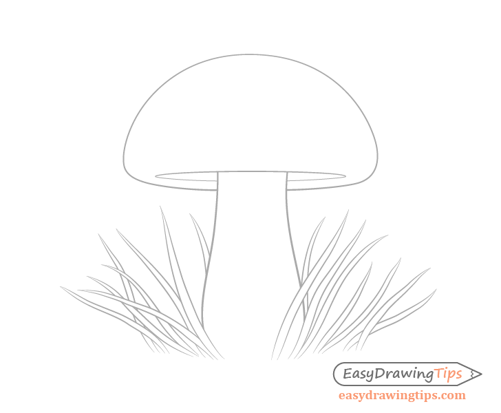 Mushroom grass drawing
