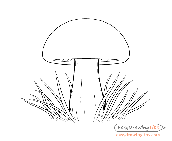 Mushroom line drawing
