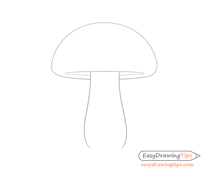 Mushroom stem drawing