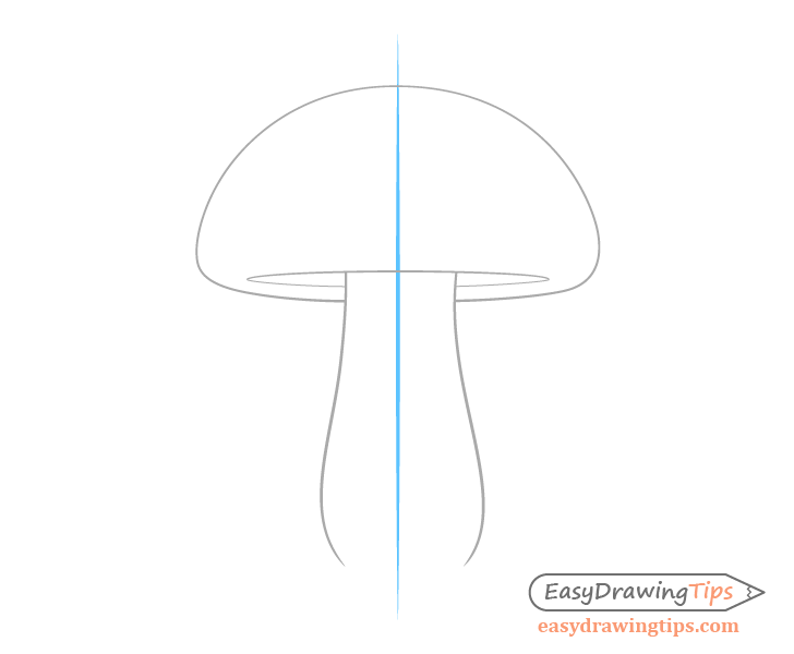 Mushroom stem guide line drawing